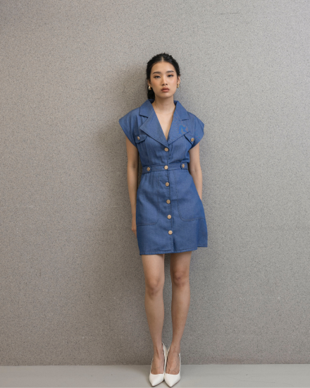 Houston Denim Dress